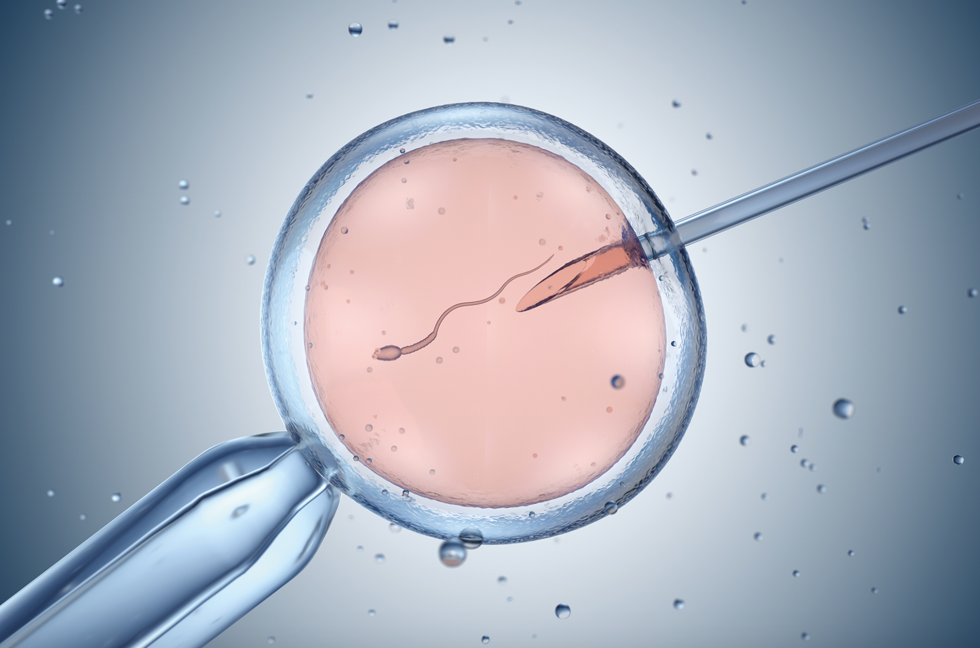 La PMA è prolife? Scoppia la Balla! 1